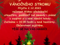 Rozsvícení vánočního stromu v Leskovci 2. 12. 2023 1
